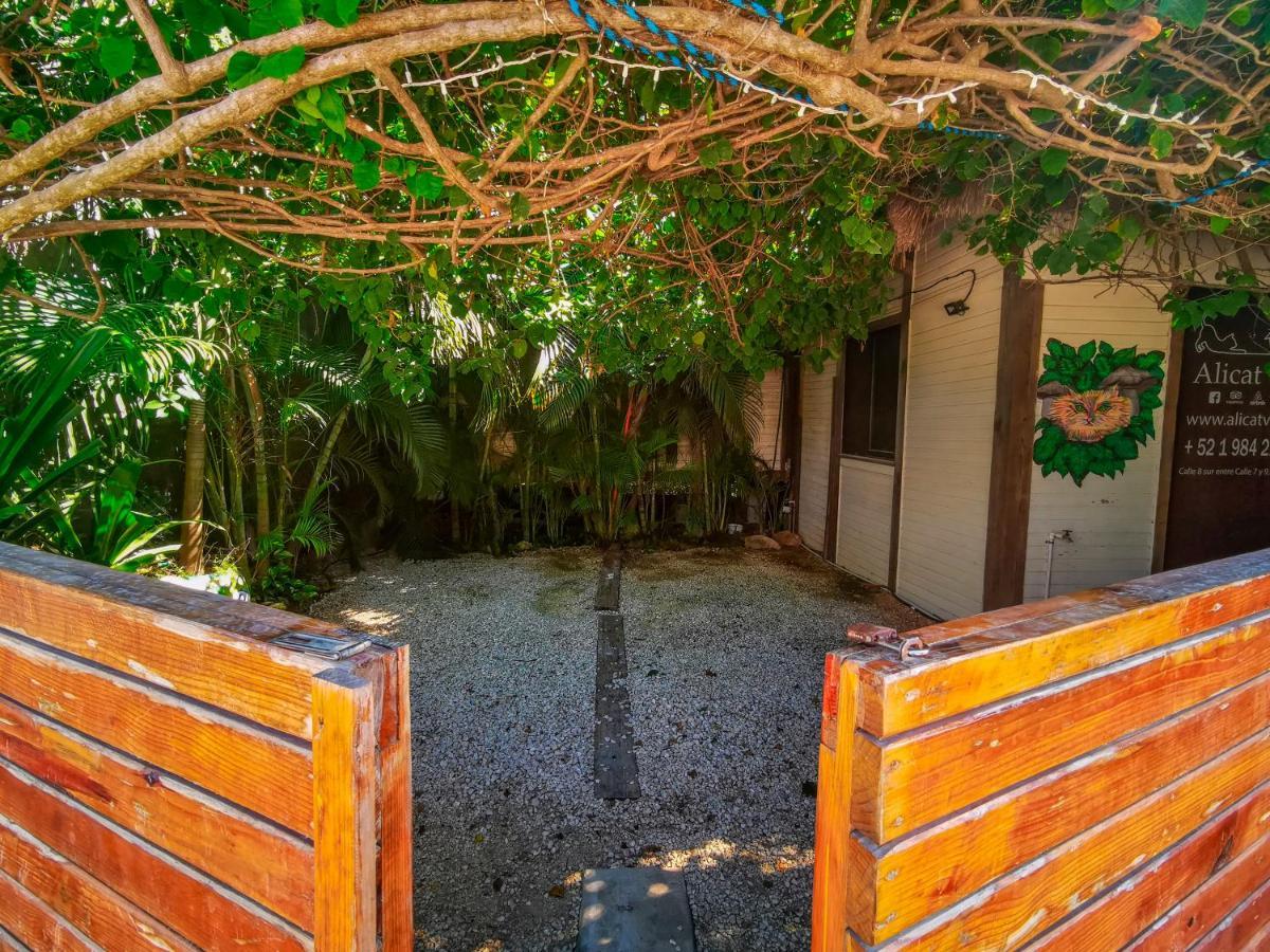 Alicat Villas Tulum Ngoại thất bức ảnh